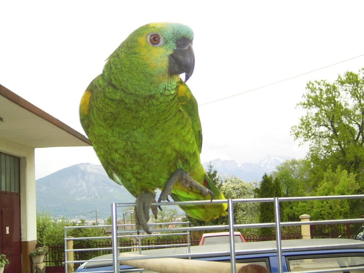 Le Paon Bleu Annecy Poisy Panzió Kültér fotó